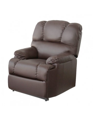 Sillon Masaje Levanta Personas 8 Motores con Calor